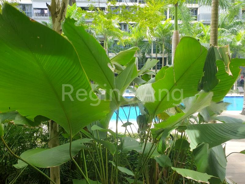 Room (Condo) for Rent in  Hundred Palms Residences - Image 8
